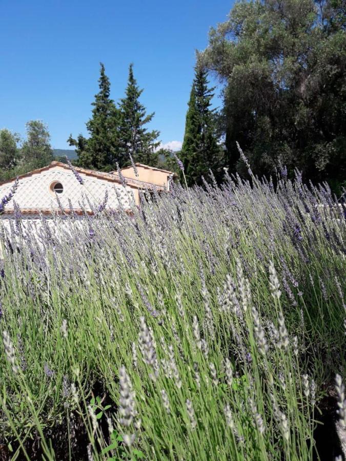 Apartment Cezanne With Heated Pool And Private Garden Chateauneuf-Grasse Екстер'єр фото