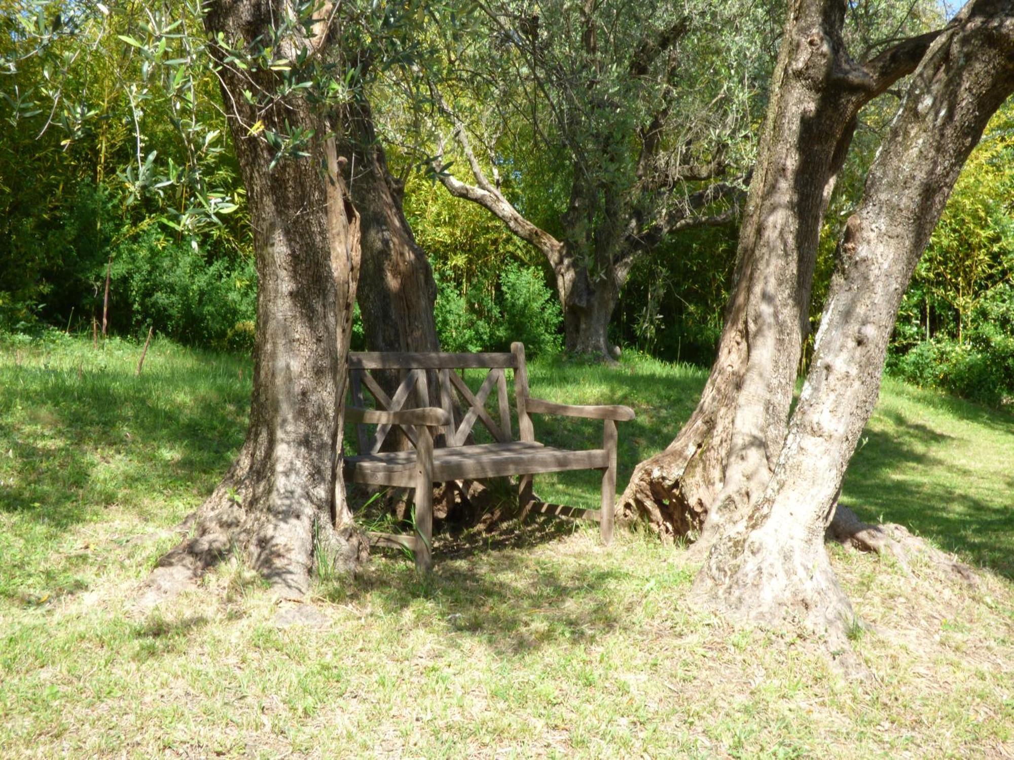 Apartment Cezanne With Heated Pool And Private Garden Chateauneuf-Grasse Екстер'єр фото